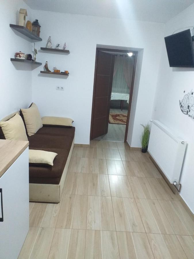 Fully Furnished Studio Sighetu Marmatiei Exterior photo